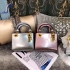 Dior Bag 026